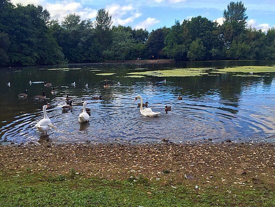 Westport Lake